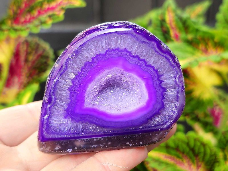 Agate geode with cavity dyed purple 198g from Brazil