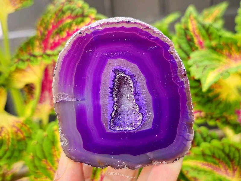 Agate geode with cavity dyed purple 258g from Brazil