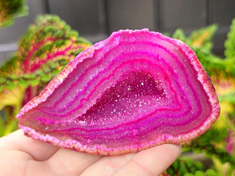 Agate geode with cavity dyed pink 163g from Brazil