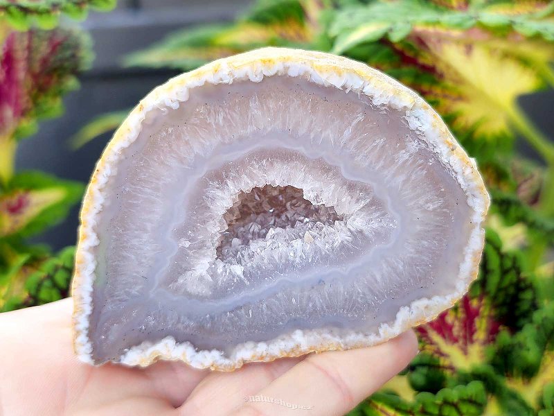 Gray agate geode with hollow 270g (Brazil)