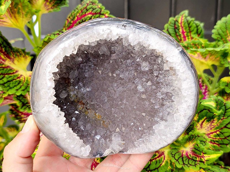 Agate geode (Brazil) 569g