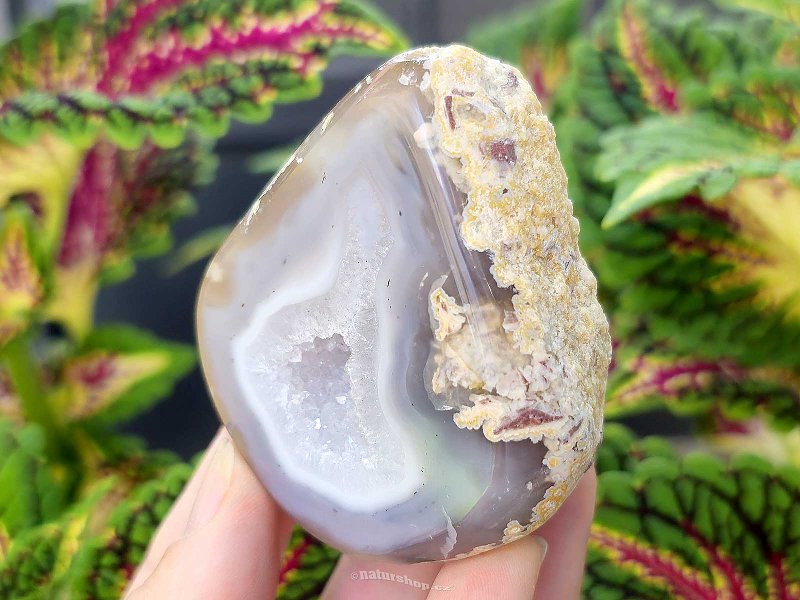 Gray agate geode with hollow 154g (Brazil)