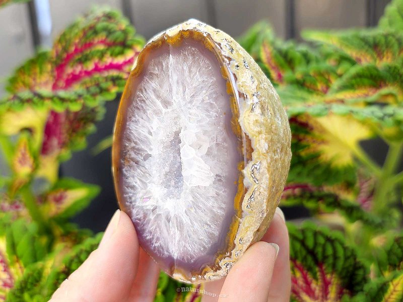 Brown agate geode with hollow 223g (Brazil)