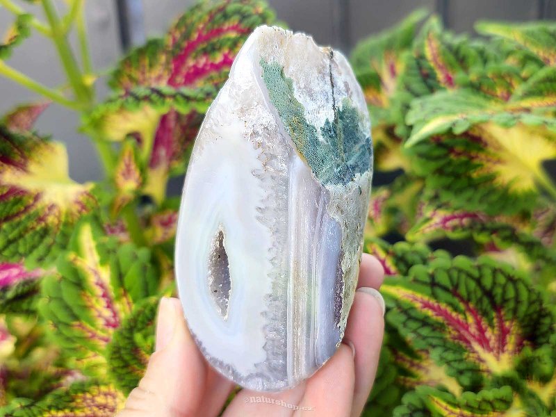 Gray agate geode with hollow 262g (Brazil)