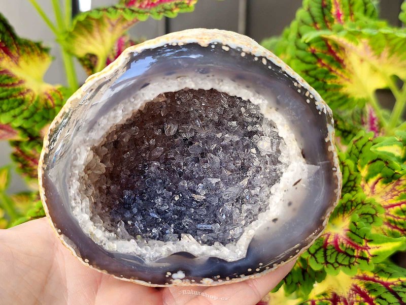 Gray agate + geode crystal 383g