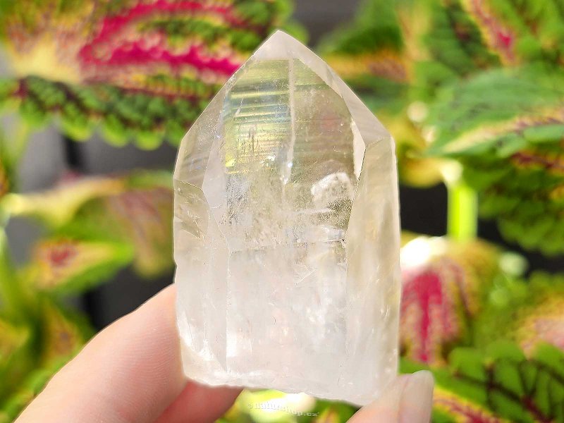 Crystal crystal natural from Brazil 74g