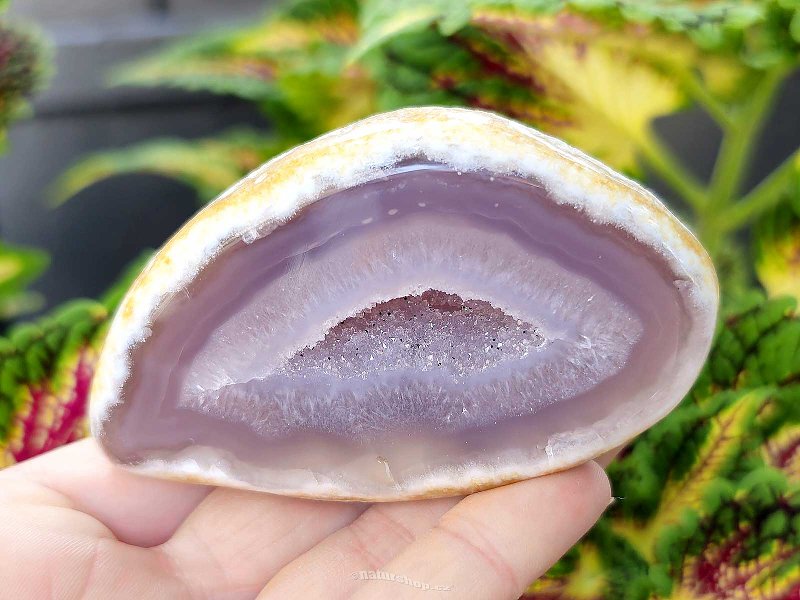 Agate gray geode with a hollow 168g from Brazil