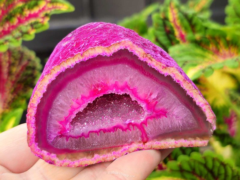 Agate geode with cavity dyed pink 182g from Brazil