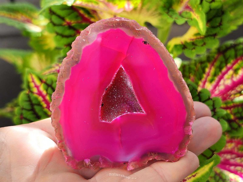 Agate geode with cavity dyed pink 178g from Brazil