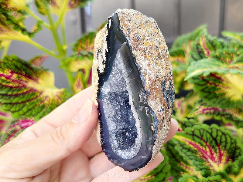 Agate gray geode with a hollow 259g from Brazil