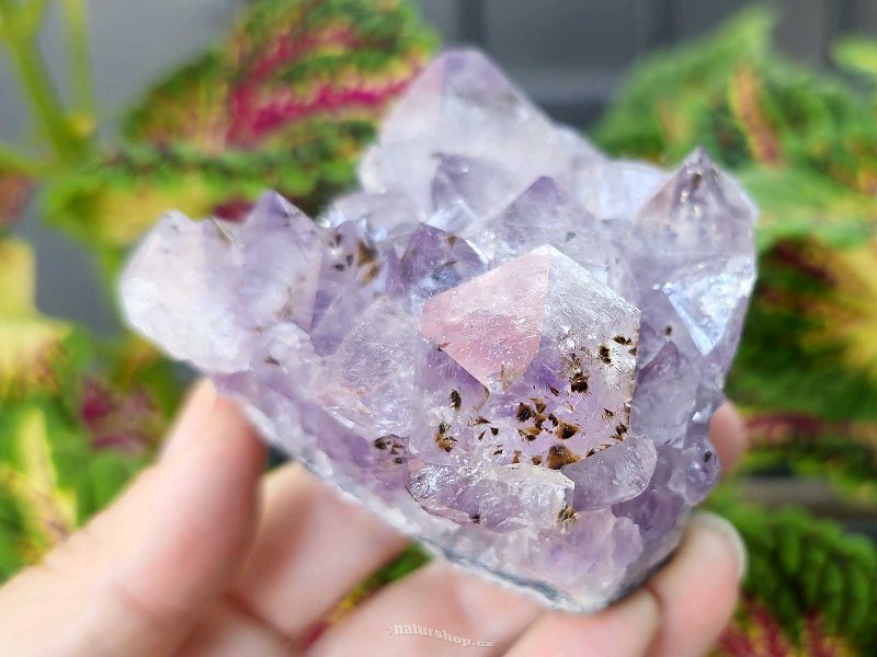 Amethyst druse 258g from Brazil