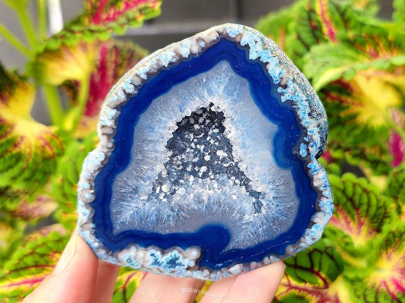 Agate blue dyed geode with cavity 253g