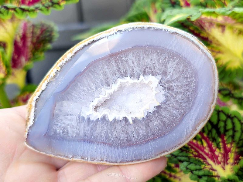 Gray agate geode with hollow 243g (Brazil)