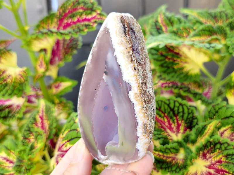 Gray agate geode with hollow 230g (Brazil)