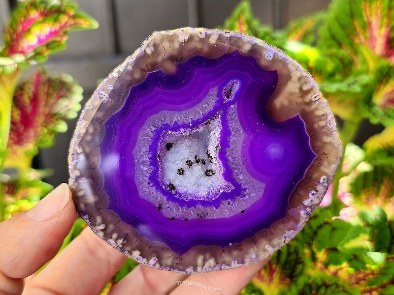 Agate geode with cavity dyed purple 239g