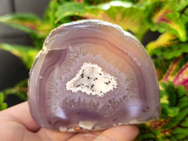 Geode gray agate with a hollow Brazil 214g