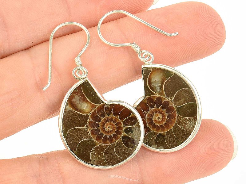 Dark ammonite earrings Ag 925/1000 7.4g