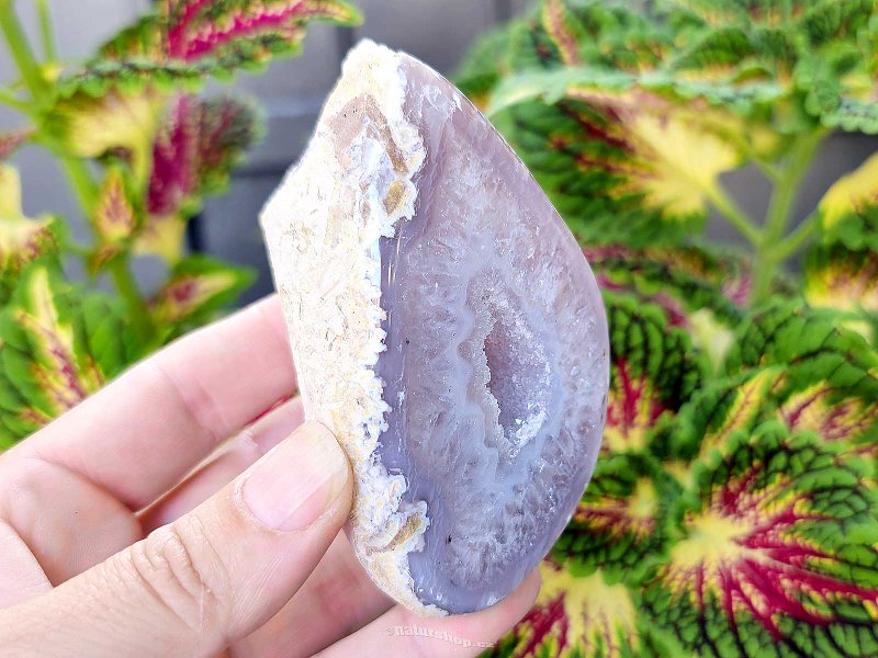 Gray agate geode with hollow 239g (Brazil)