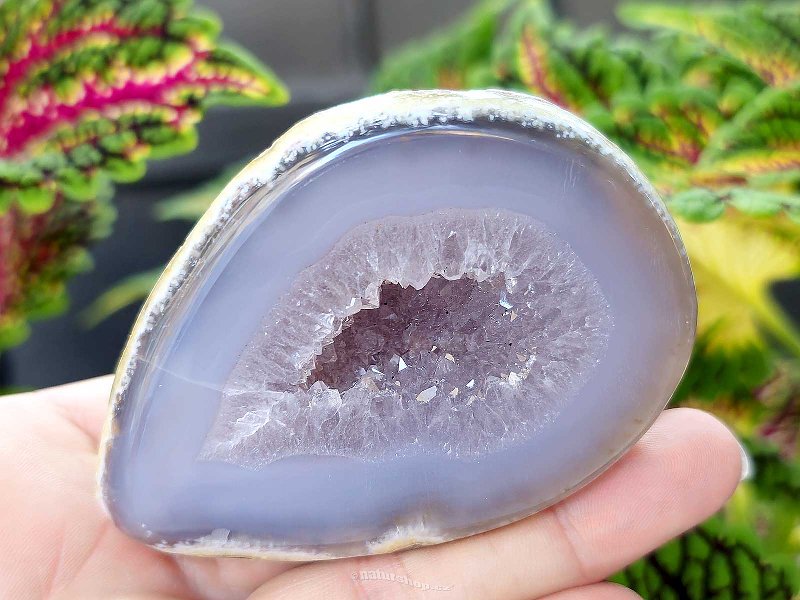 Gray agate geode with hollow 187g from Brazil