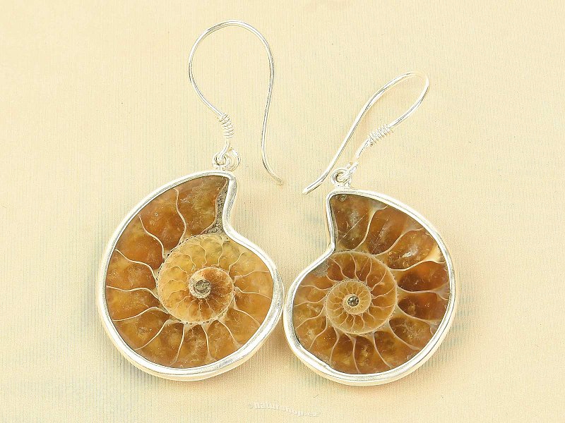 Ammonite earrings Ag 925/1000 7.7g