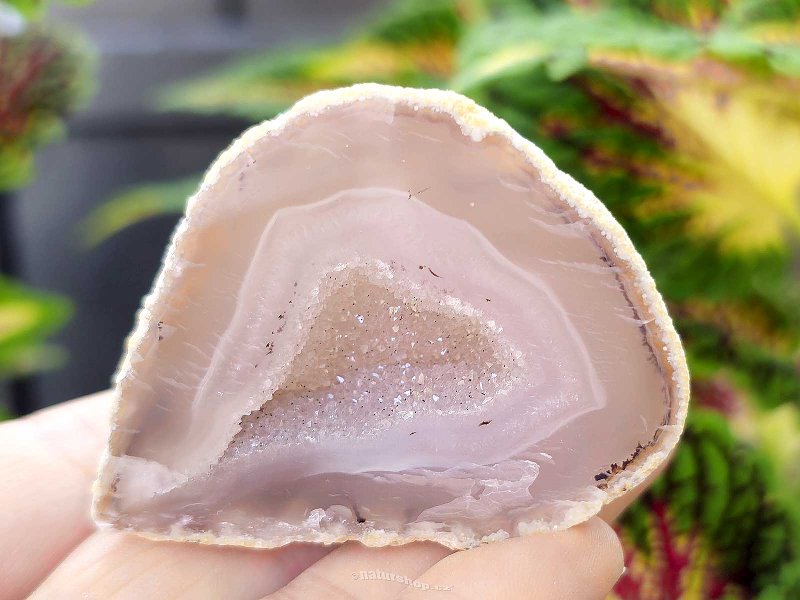 Agate gray geode with a hollow 79g from Brazil