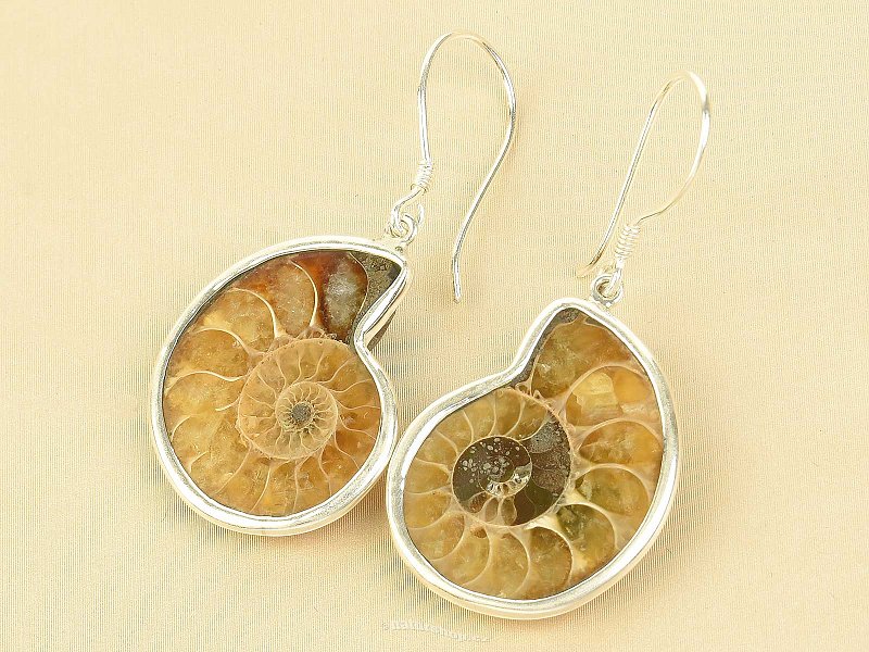 Ammonite earrings Ag 925/1000 7.4g