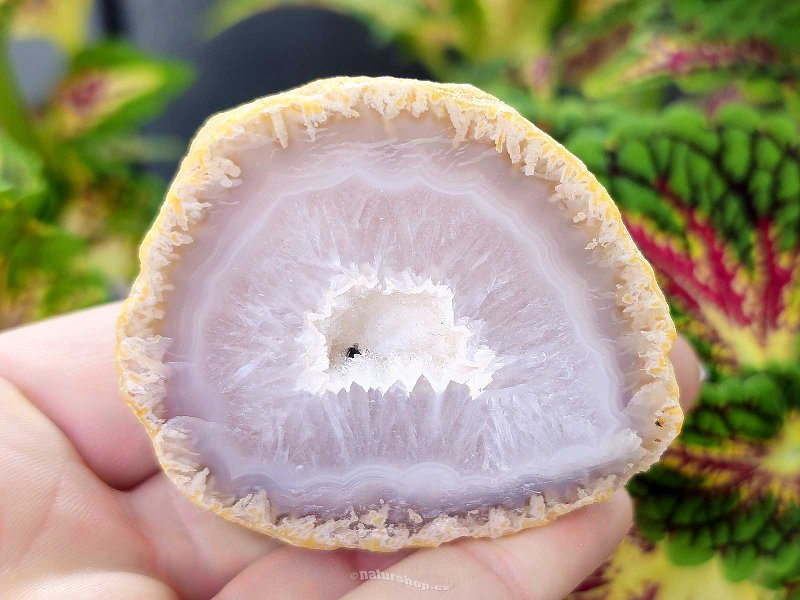 Gray agate geode with hollow 118g (Brazil)