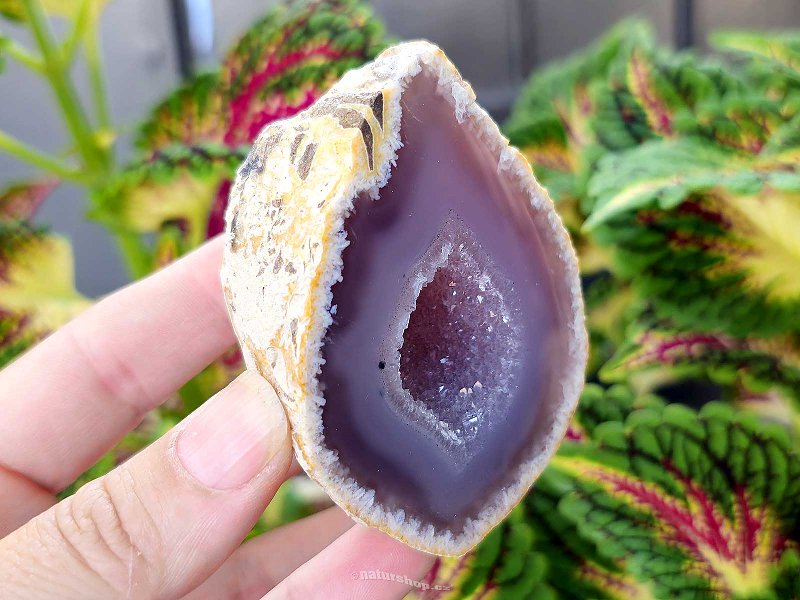 Agate gray geode with a hollow 169g from Brazil