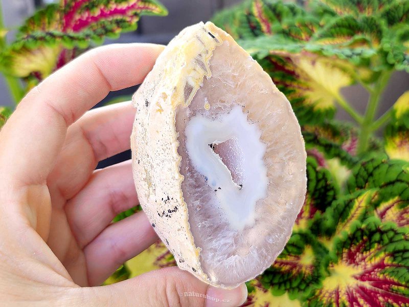 Agate geode with a hollow 227g from Brazil