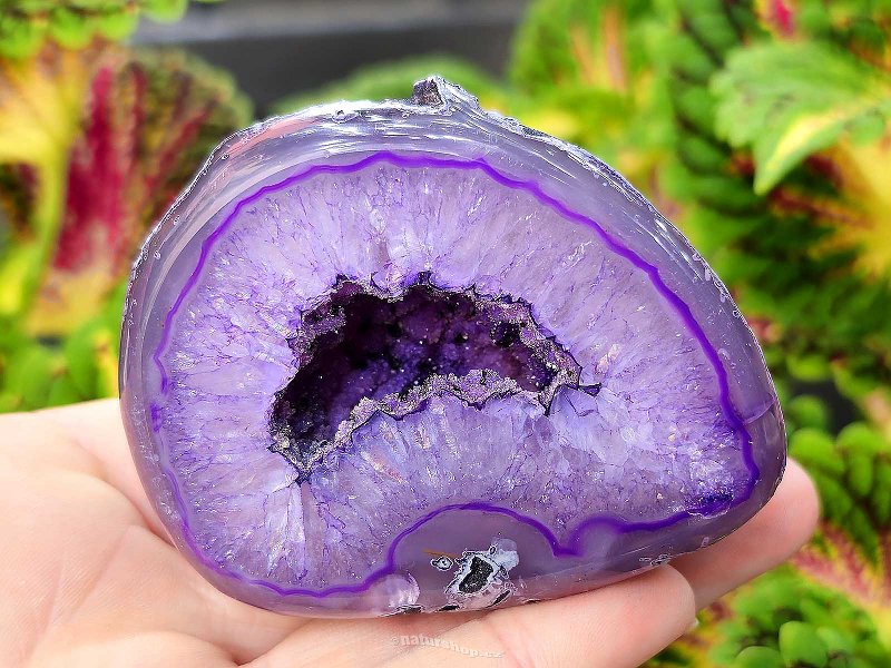 Agate geode with cavity dyed purple 197g from Brazil