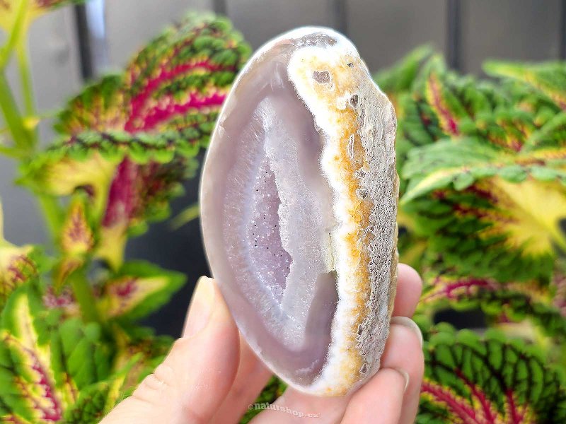 Gray agate geode with hollow 171g (Brazil)