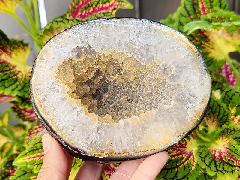 Agate geode (Brazil) 919g