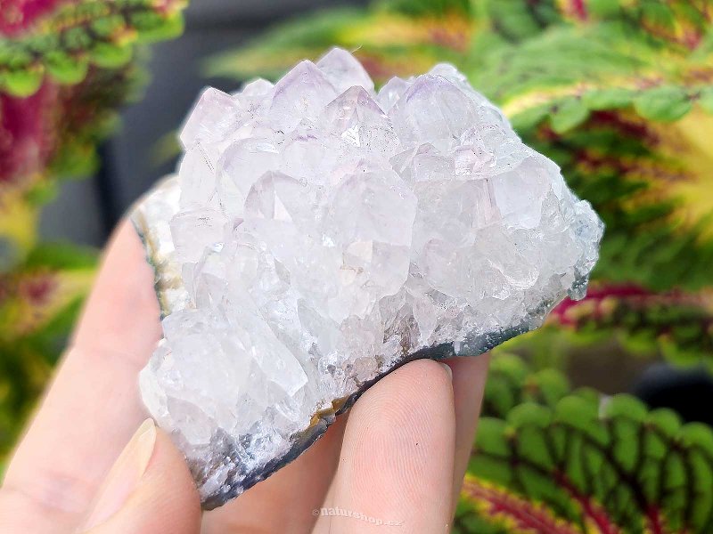 Amethyst druse (102g) from Brazil