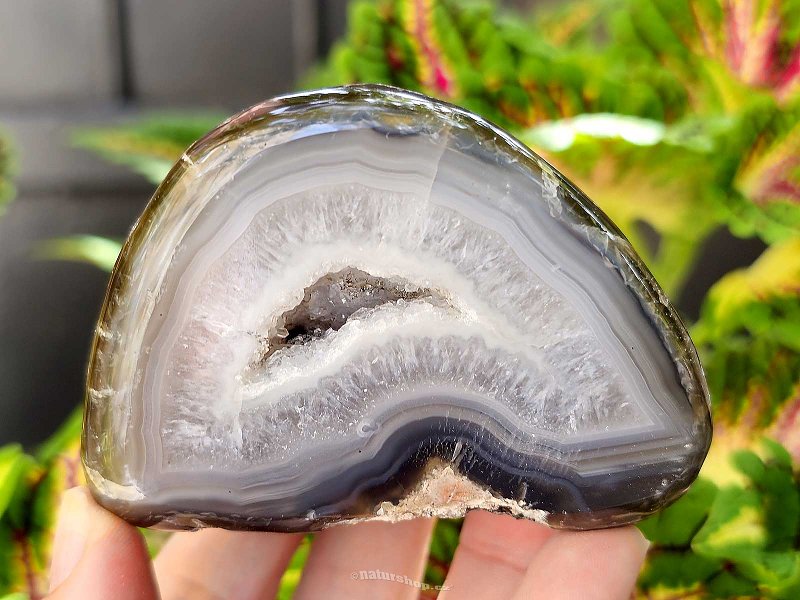 Geode gray agate with a hollow Brazil 210g