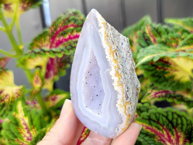 Gray agate geode with hollow 163g (Brazil)