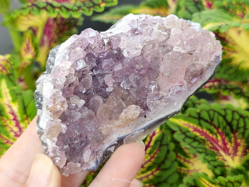 Amethyst druse 232g from Brazil