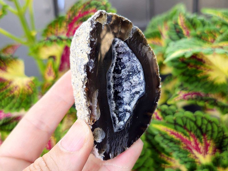 Agate geode with hollow 172g (Brazil)