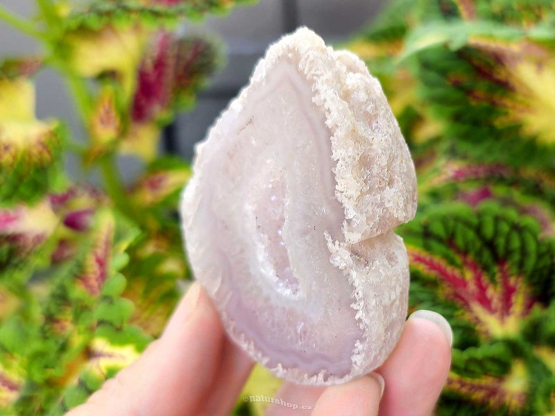 Gray agate geode with hollow 119g (Brazil)