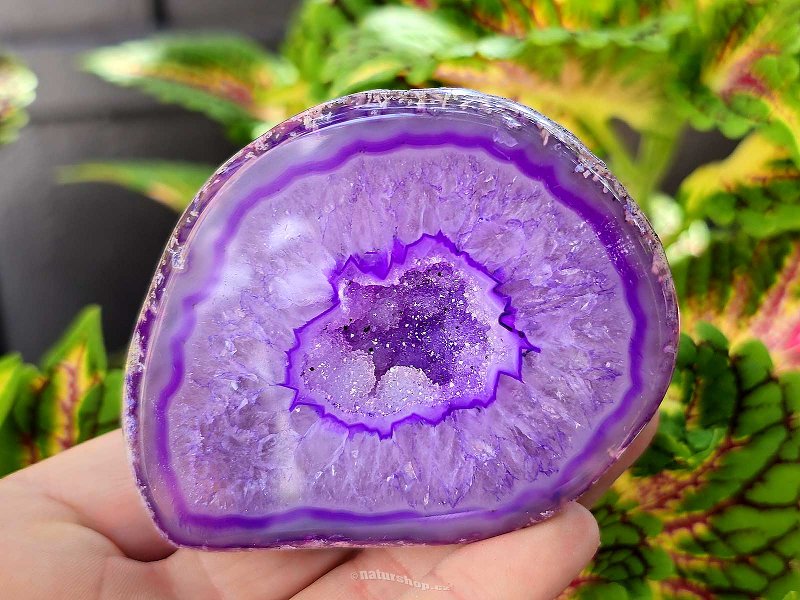 Agate geode with cavity dyed purple 213g