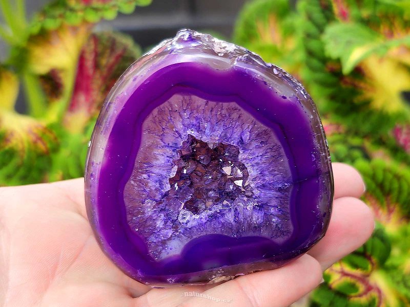 Agate geode with cavity dyed purple 181g from Brazil