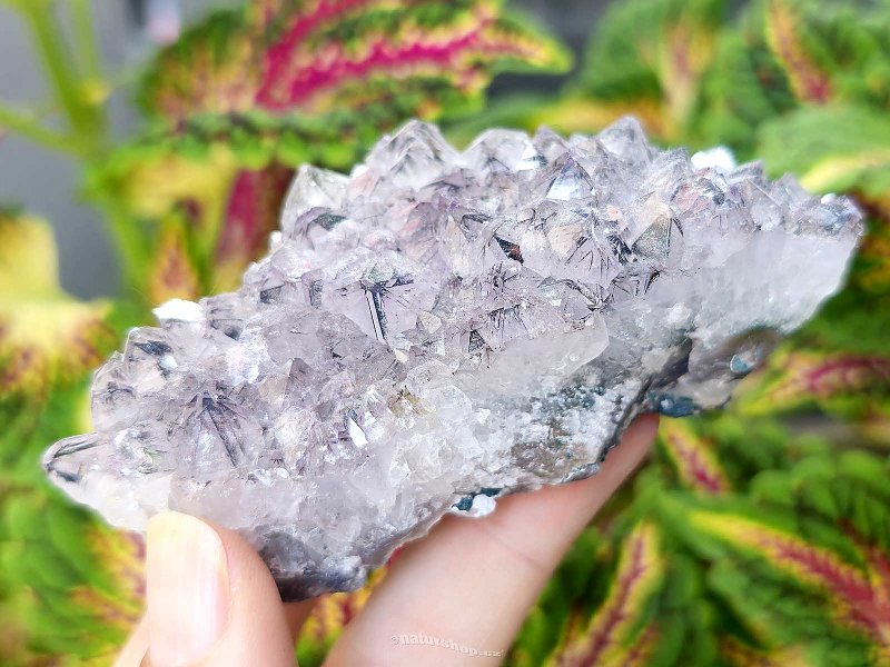 Amethyst druse 160g from Brazil