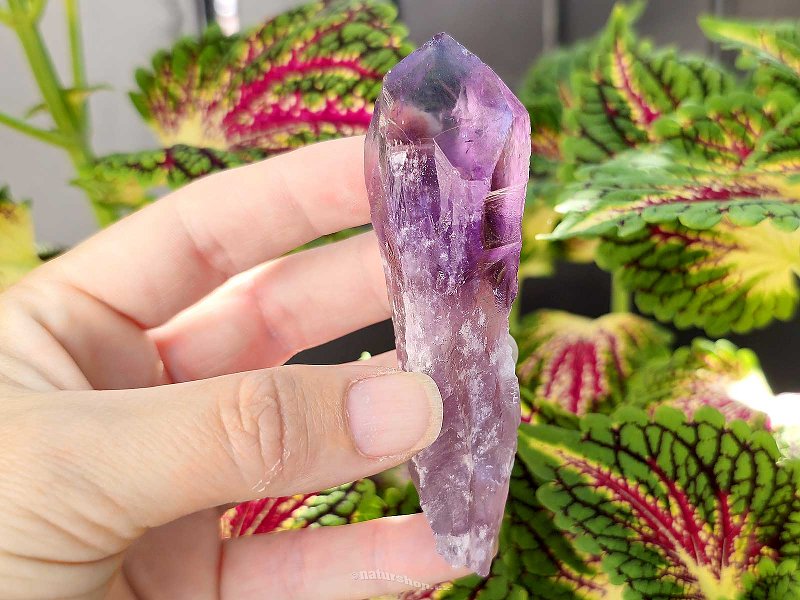 Amethyst natural crystal from Brazil 81g