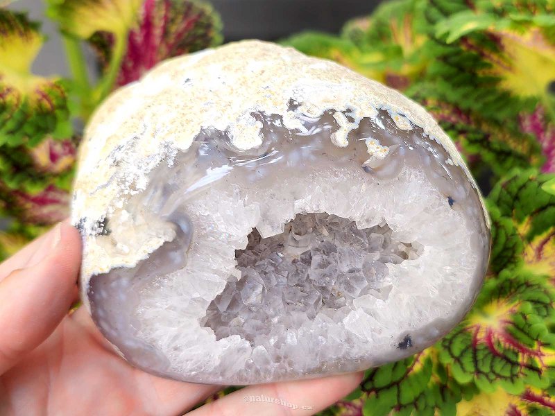 Agate geode with crystal inside 543g