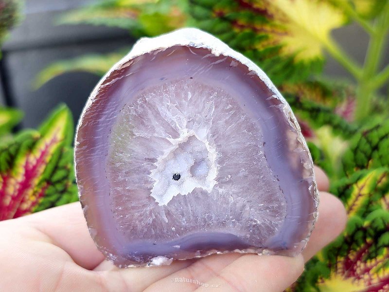 Gray agate geode with hollow 160g (Brazil)