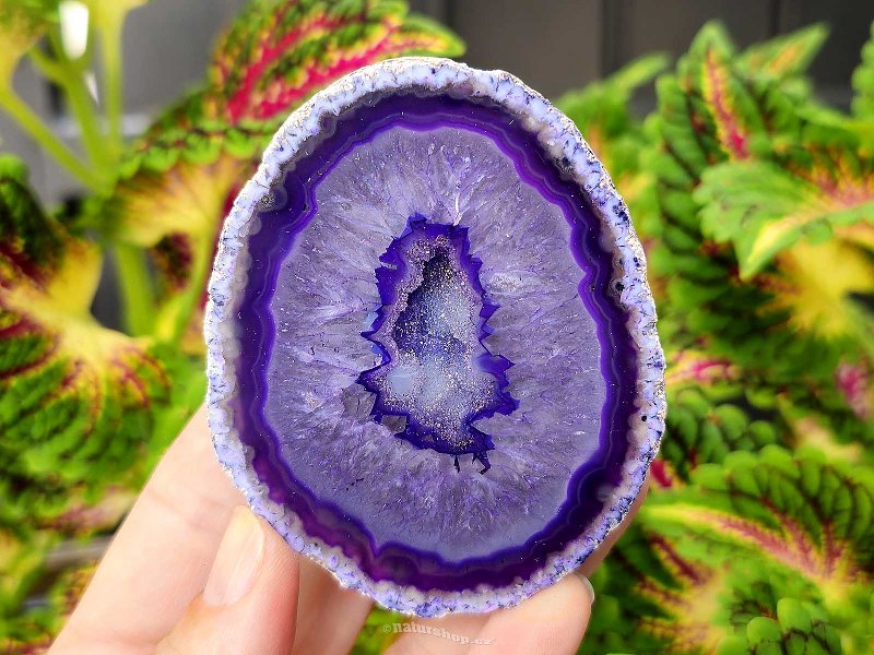 Agate geode with cavity dyed purple 189g