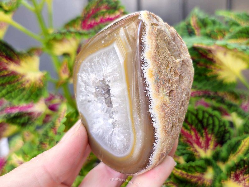 Brown agate geode with hollow 304g (Brazil)