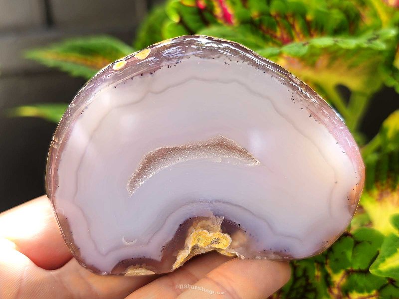 Geode gray agate with a hollow Brazil 230g