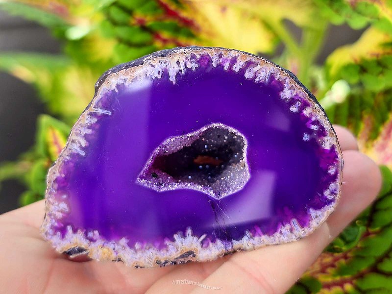 Agate geode with cavity dyed purple 158g