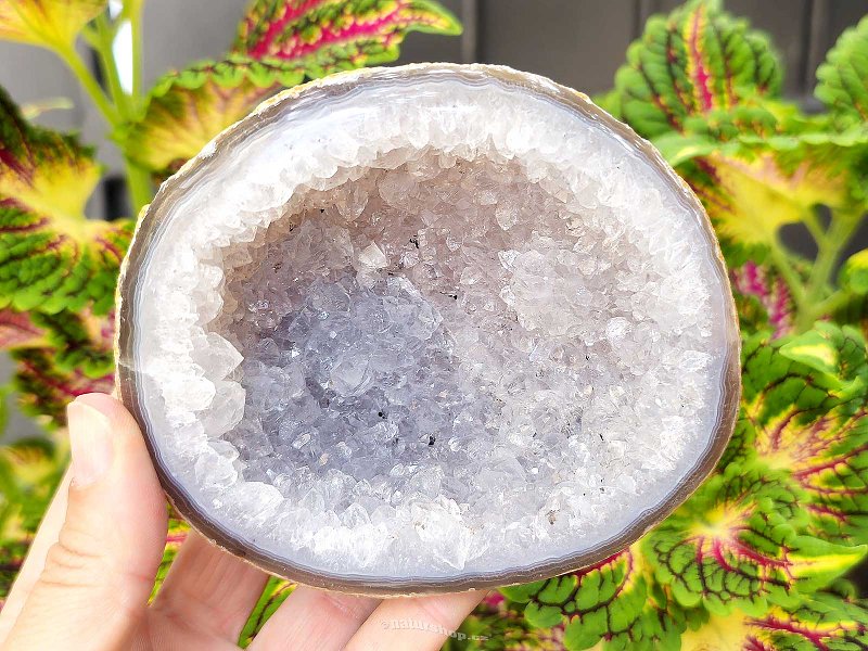 Agate and crystal geode (Brazil) 420g