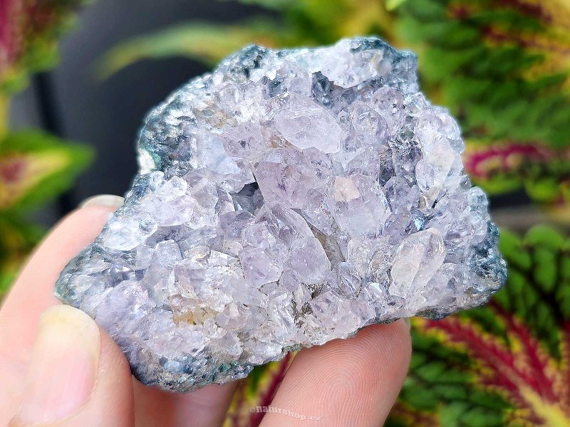 Amethyst druse 59g from Brazil